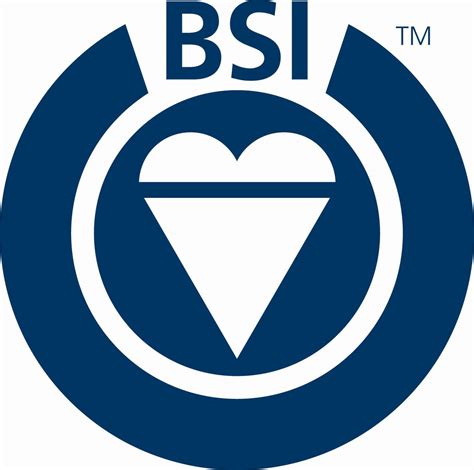 BSI 